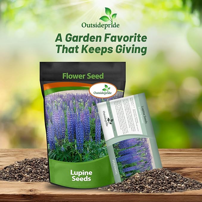 Outsidepride 1 lb. Perennial Blue Lupine Flower Seeds for Planting