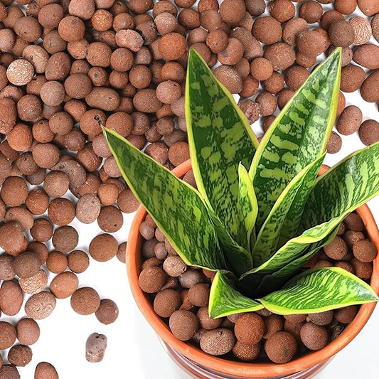 T4U Leca Clay Pebbles for Plants, 2 LBS 10-20 mm Clay Balls for Indoor Plants, Natural Clay Pebbles for Orchid Potting Mix, Hydroponic, Leca Pots, Plant Drainage, Garden Soil