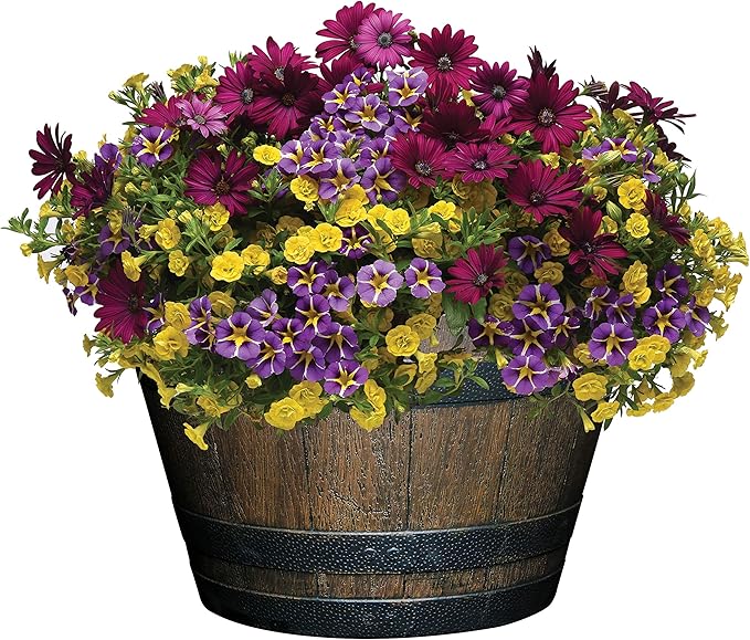 Classic Home and Garden Whiskey Plastic Resin Flower Pot Barrel Planter, Walnut Brown, 20.5"
