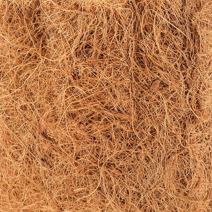 Arcadia Garden Products CB48 Series Solstice Square Planter 18", Black