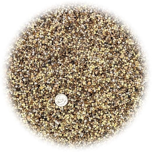 Premium 13-3-13 All-Season Fast Acting Landscape and Ornamental Fertilizer by Gardenera - Promotes Biomass Growth and Vibrant Leaf Color - 2 Quart