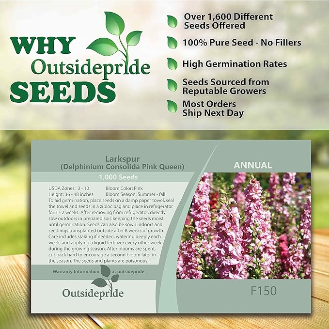 Outsidepride 2000 Seeds Delphinium Pink Larkspur Flower Seeds for Planting