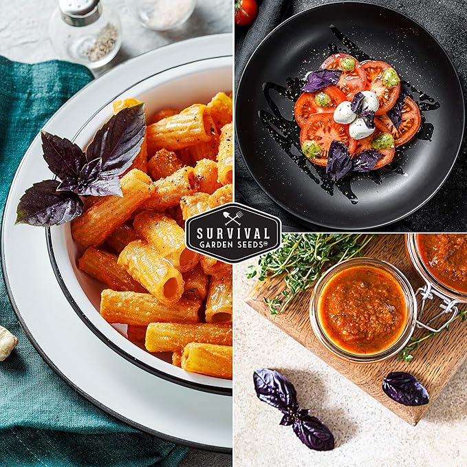 Survival Garden Seeds - Opal Basil Seed for Planting - 5 Packs with Instructions to Plant and Grow Delicious & Unique Purple Basil Herb Plants in Your Home Vegetable Garden - Non-GMO Heirloom Variety