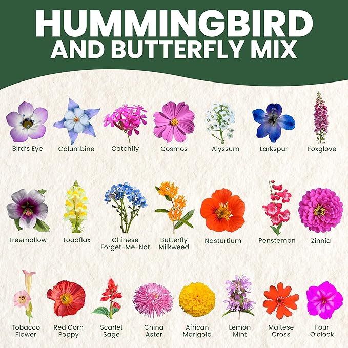 Hummingbird Butterfly Mix - Bulk 1/4 Pound Pouch - 30,000 Flower Seeds for Planting - Wildflower Mix