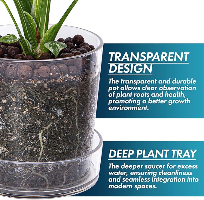 Phoenix Vine 6.5 InchClear Acrylic Planter Pot with Tray, Orchid Pot with Drainage Holes, Deep Saucer for Bottom Watering, Transparent Containers for Indoor Plants, Herbs, Set of 2, 91-A-F-2
