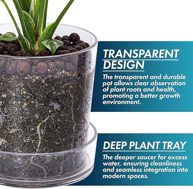 Phoenix Vine 6.5 Inch Clear Acrylic Planter Pot with Tray, Orchid Pot with Drainage Holes, Deep Saucer for Bottom Watering, Transparent Containers for Indoor Plants, Herbs, Set of 4, 91-A-F-4