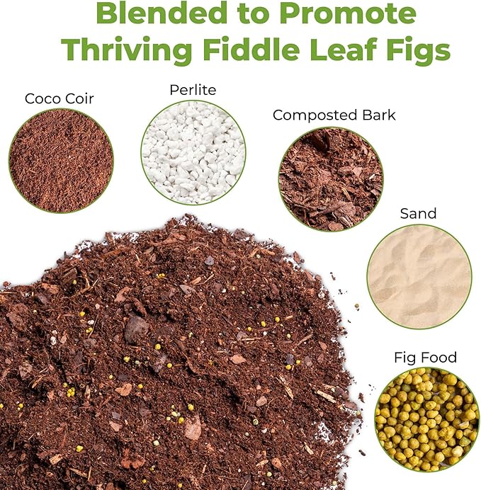 Fiddle Leaf Fig Soil by Perfect Plants 8QTS, Premium Professional Blend for All Fiddle Leaf Figs