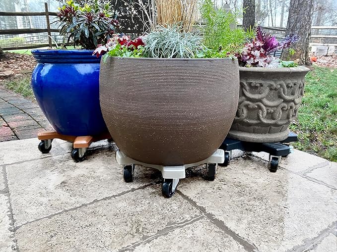 Bosmere Down Under Plant Caddie, Heavy Duty Plant Stand with Wheels, 500 lb Capacity, 14-Inch, Charcoal