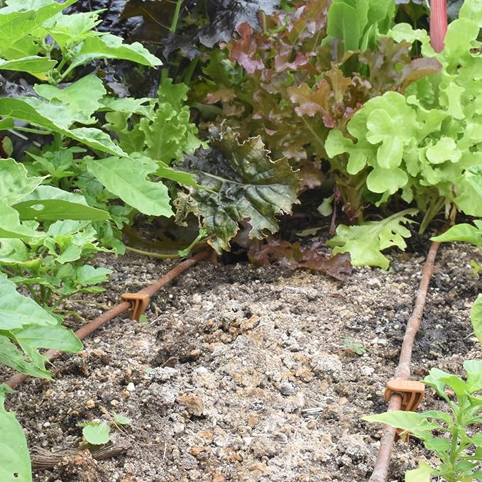 DIG ¼” 100’ MICROLINE™ Dripline - Enhanced 6” Emitter Spacing, UV-Resistant, Perfect for Diverse Garden Layouts (Brown) SHB106