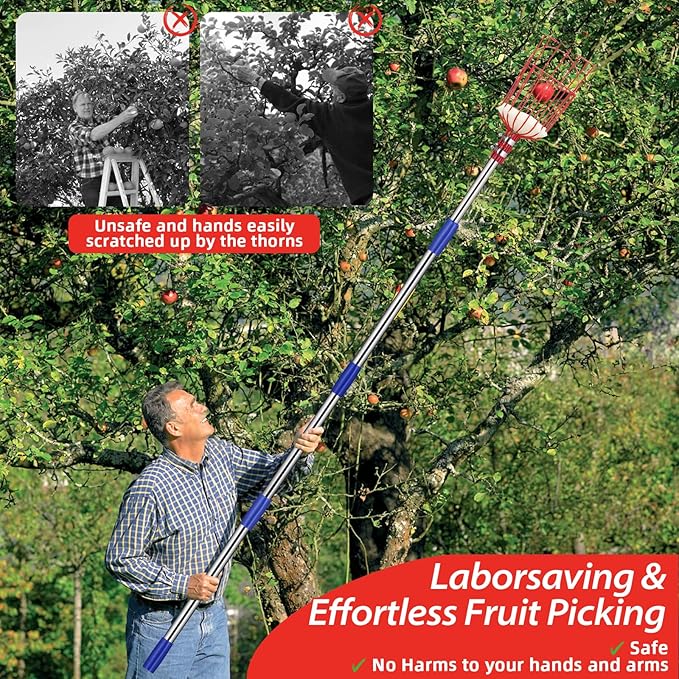 Fruit Picker Pole with Basket - Apple Picker Long Handle Telescoping, 5.5 FT Stainless Steel Fruit Picking Pole Extendable Fruit Catcher Tool for Avocado, Apricot, Pear, Orange, Mango Trees Picking