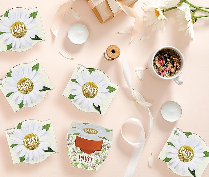 BUZZY Terracotta Mini Grow Pots | Mini Daisy 6-Pack | Daydream Collection | Best Gardening Gifts, Favors, Weddings, Parties, Events, Modern, Trendy, Unique, and Fun | Growth Guaranteed