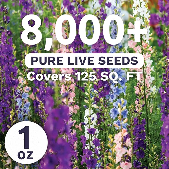 Rocket Larkspur - Imperial Mix - Large 1 Ounce Packet - 8,000 Flower Seeds for Planting - Consolida ajacis
