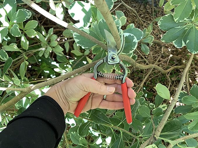 Corona BP15180 Forged Steel ClassicCUT Bypass Hand Pruner - 1 inch Cut Capacity Stem and Branch Garden Shears, Red