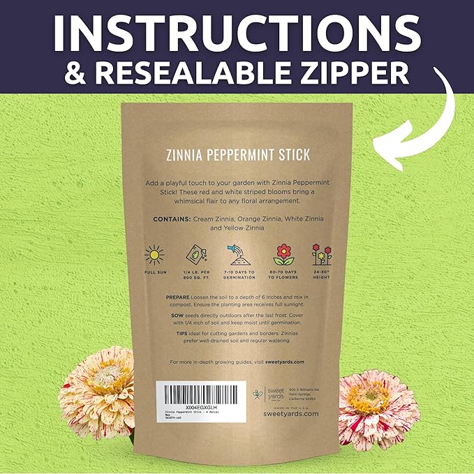 Zinnia Peppermint Stick - Bulk 1/4 Pound Pouch - 15,000 Flower Seeds for Planting - Zinnia elegans