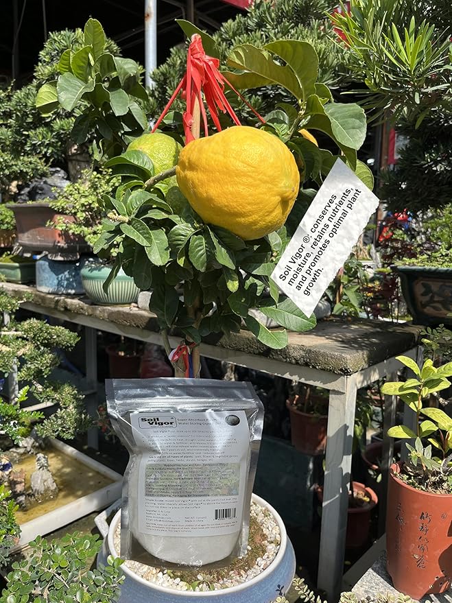 5 Pounds Potassium Water-Absorbing Crystal Polymer for Plants Soil Moist SAP Commercial-Grade