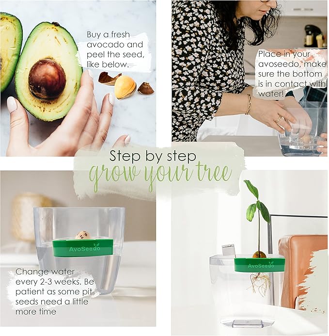Avocado Growing Kit - Indoor Gardening Gift for Growing Avocado Trees from Pits