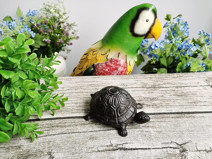 BSTGIFTS Cast Iron Turtle Key Hider - Spare Key Holder - Garden Decoration Turtle, Jewelry Trinkets Box for Key, Ear Studs, Ring, Paper Clip (Antique Brown)…