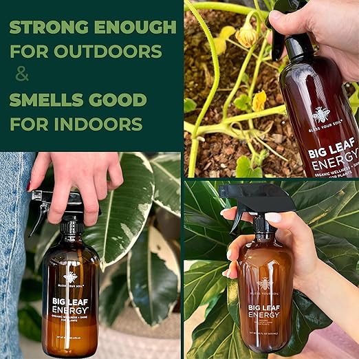 Big Leaf Energy : Concentrated Refill : Pure Organic Cold Pressed Neem + Essential Oils (118 mL, Makes 4 gallons) for Plant Wellness