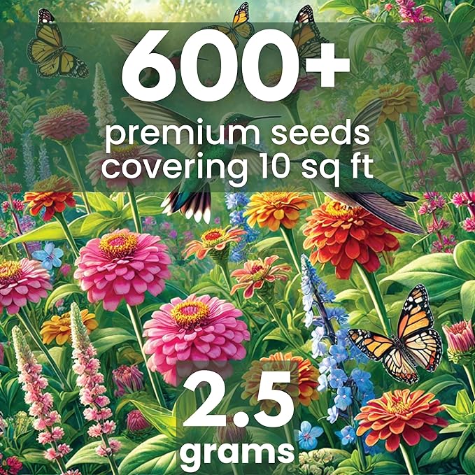 Hummingbird Butterfly Mix - Large 2,500mg Envelope - 500 Flower Seeds for Planting - Wildflower Mix