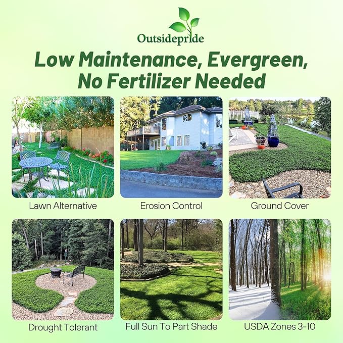 Outsidepride Perennial White MiniClover Seed - 1/4 lb. Dwarf, Small-Leaved, Drought & Wear-Tolerant Micro Clover Seeds for Lawn, Ideal Low-Maintenance & Easy to Grow Ground Cover Seeds for Home Yard