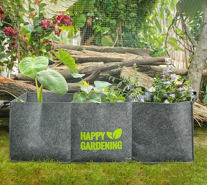 Fabric Grow Bags, 2-Pack Raised Garden Bed with Handle for Vegetable Herbs, Fabric Plant Pots Indoor Outdoor, 3 sq. ft.