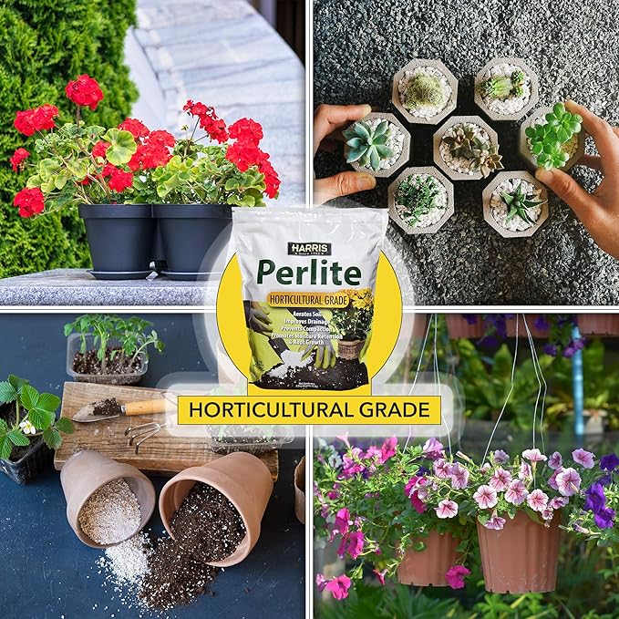 Harris Premium Horticultural Perlite for Plants and Gardening, 8qt to Promote Root Growth and Soil Health