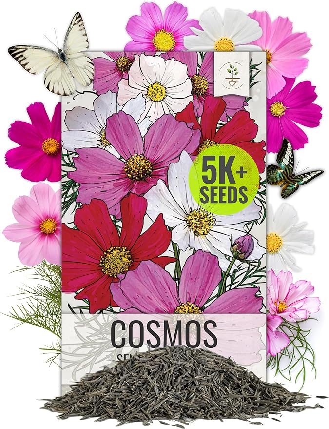 Seed Needs, 5,000+ Cosmos Seeds Sensation Blend Cosmos Seeds for Planting - Multicolored Heirloom & Open Pollinated Wildflowers to Grow a Butterfly Garden - Makes a Great Cut Flower - Bulk