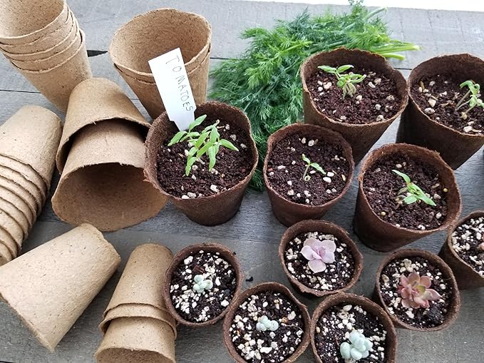 Daniel's Plants 4" Naked Pots | Large Natural Plantable Seed Starter Pots | OMRI-Listed Biodegradable Pots for Seedlings | Enhanced Aeration | Earth Freindly - Peat Free | 30 Pack 4 Inch Round