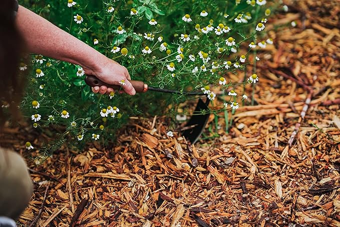 Barebones Square Hand Hoe - Garden Hoe for Weeding with a Long Handle - Japanese Gardening Tool, Sickle Garden Tool (Black/Walnut)