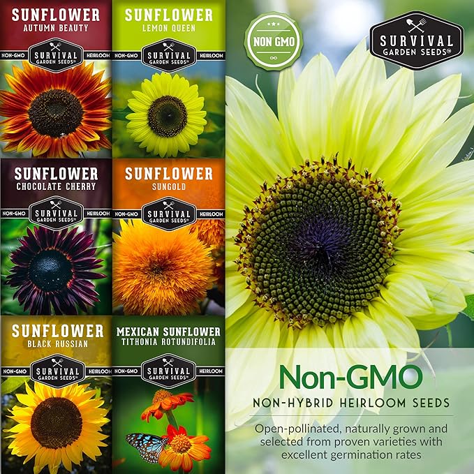 Survival Garden Seeds Sunflower Collection - Autumn Beauty, Black Russian, Chocolate Cherry, Sungold, Lemon Queen, & Mexican Sunflower Varieties - Non-GMO Heirloom Seeds for Planting & Growing