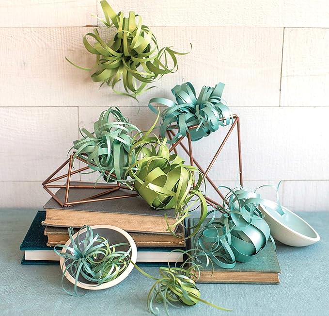 Lia Griffith Frosted Paper Flowers Air Plants, 8.5" x 11", Colors May Vary 20 Count