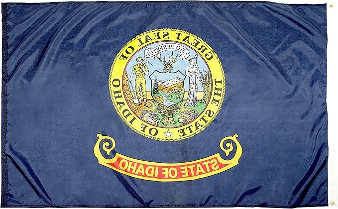 FlagSource Idaho Nylon State Flag, Made in USA, 4x6'