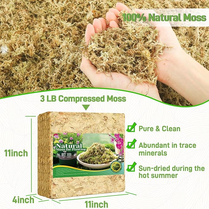 3LB Sphagnum Moss for Plants Indoor, Premium Peat Moss for Reptiles Terrarium-60 Quarter, Natural Long Fiber Orchid Moss for Repotting Propagation Succulent Sarracenia Carnivorous Gardening