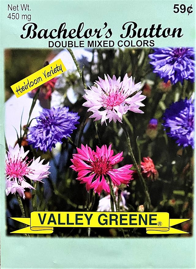 Set of Flower Seed Packets! Flower Seeds in Bulk - Great for Creating The Garden of Your Dreams! (100, Bachelors Button - Double Mixed)