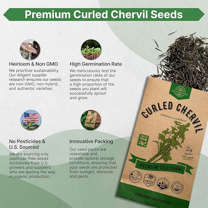 Curled Chervil Seeds Pack 2 G - 750 Non-GMO Heirloom Chervil Seeds for Planting Herbs in Individual Seed Packet, Herb Seeds for Planting Home Garden Indoor & Outdoor Gardening