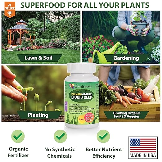 Organic Liquid Kelp Fertilizer - 32 oz -Enhance Your Garden's Yield with Seaweed Fertilizer for Plants - Concentrated Kelp & Seaweed Extract