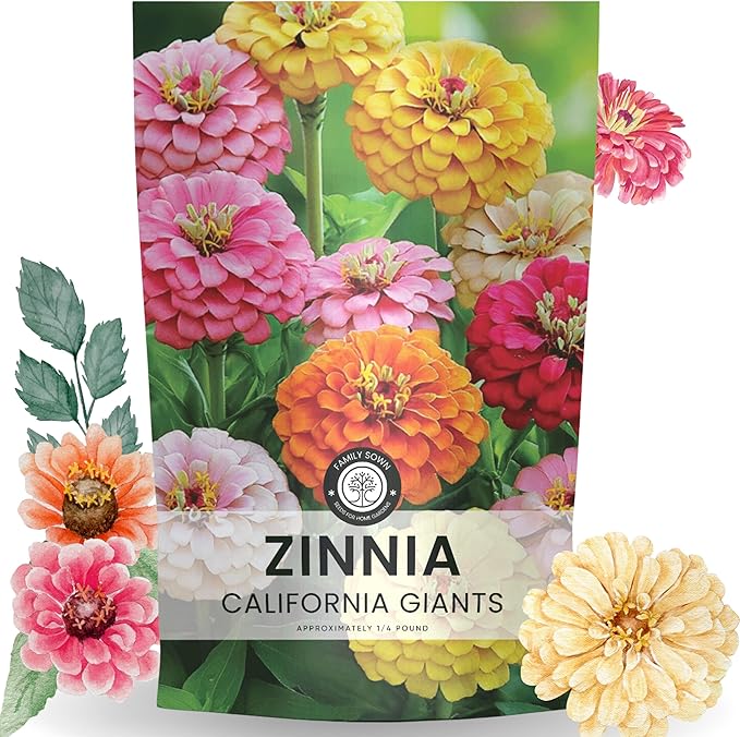 Zinnia California Giants - Bulk 1/4 Pound Pouch - 12,000 Flower Seeds for Planting - Zinnia elegans