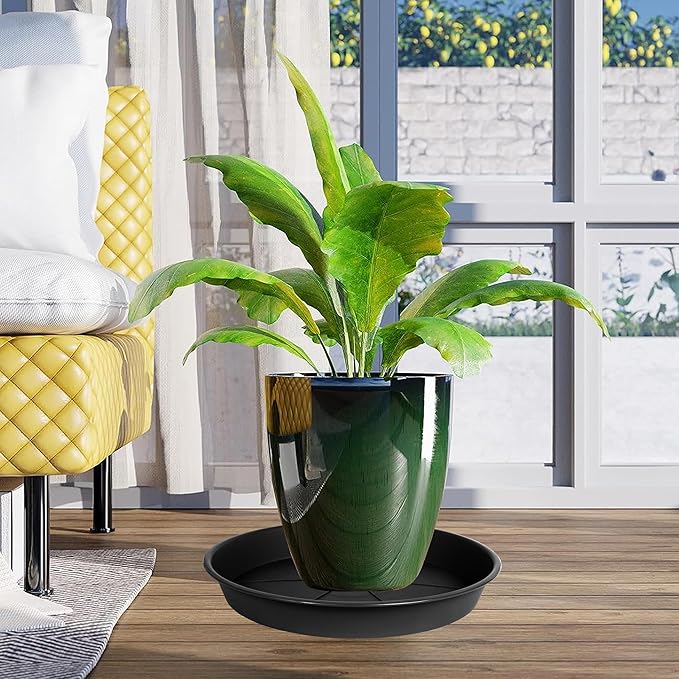 6 Pack of Plant Saucer Tray 11 12 inch, Heavy Duty Plastic Pot Plant Drip Trays Saucers for for Indoors Outdoor, Plant Water Tray for Planters 11-12" (12", Black)