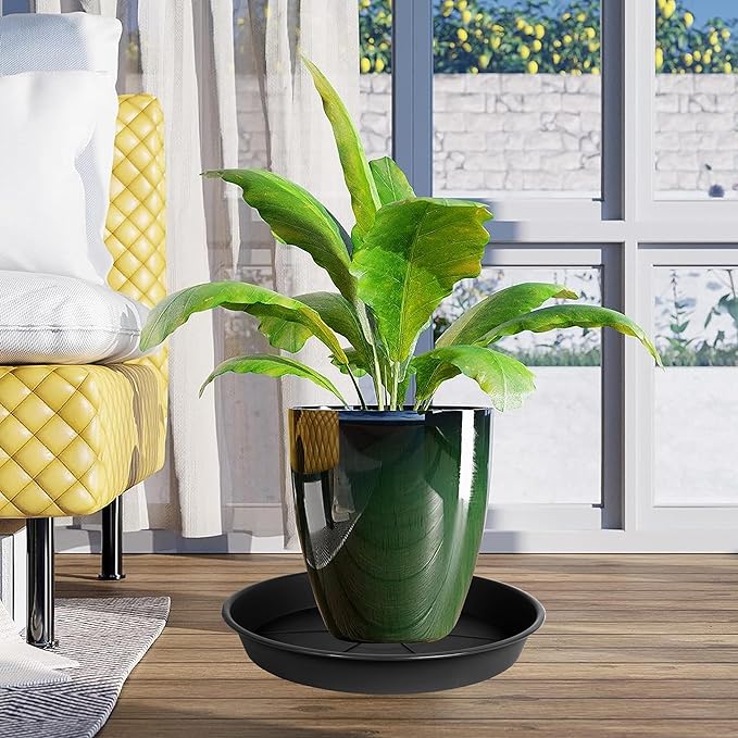 6 Pack of Plant Saucer Tray 4 6 8 10 12 14 17 19 22 25 inch, Heavy Duty Plastic Pot Plant Drip Trays Saucers for for Indoors Outdoor, Plant Water Tray for Planters 4-7" (6", Black)