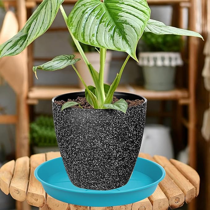 6 Pack of Plant Saucer Tray 11 12 inch, Heavy Duty Plastic Pot Plant Drip Trays Saucers for for Indoors Outdoor, Plant Water Tray for Planters 11-12" (12", Light Blue)