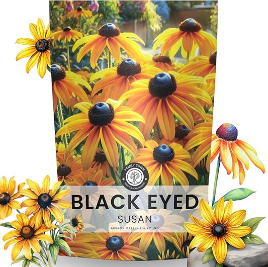 Black Eyed Susan - Bulk 1/4 Pound Pouch - 400,000 Flower Seeds for Planting - Rudbeckia hirta