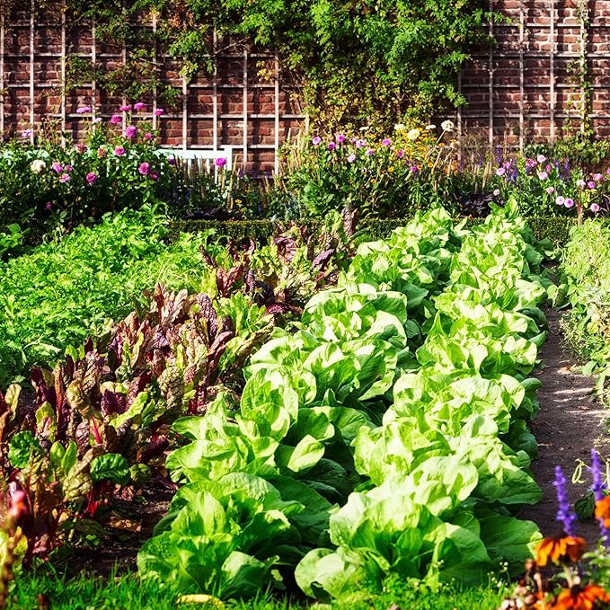 All-Purpose Compost Blend (4 Quarts), Deluxe Mix for Indoor/Outdoor Plants w/Mushroom Compost and Worm Castings