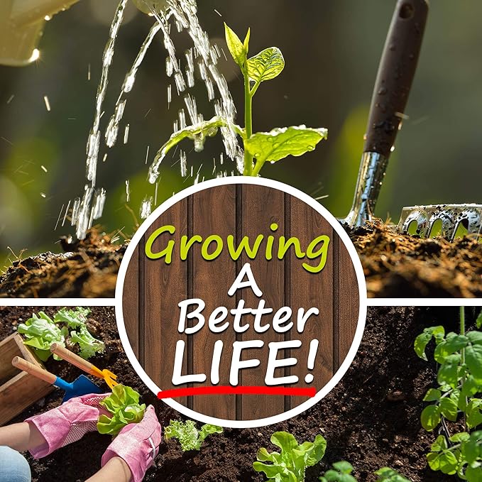 Slow Bolt Cilantro Herb Garden Seeds - 1 Oz ~2,500 seeds - Non-GMO Heirloom Slow Bolt Cilantro Herb Seeds (Coriander) - Outdoor Garden, Indoor Gardens, Countertop Microgreens, Organic Micro Greens Kit