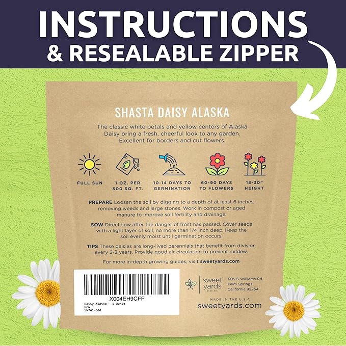 Shasta Daisy Alaska - Large 1 Ounce Packet - 20,000 Flower Seeds for Planting - Leucanthemum × superbum