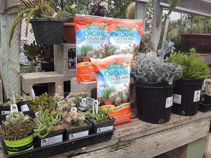 Espoma Organic Cactus Mix Organic Potting Mix