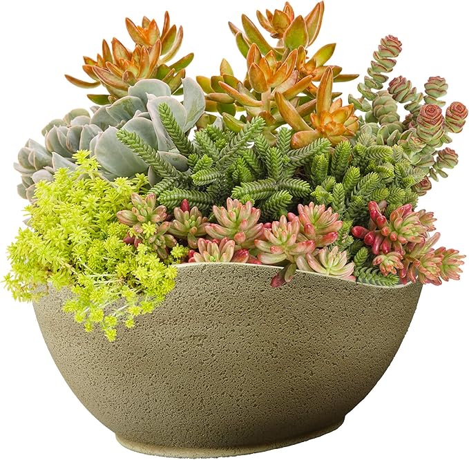 Classic Home and Garden Arc Pot 12" Desert