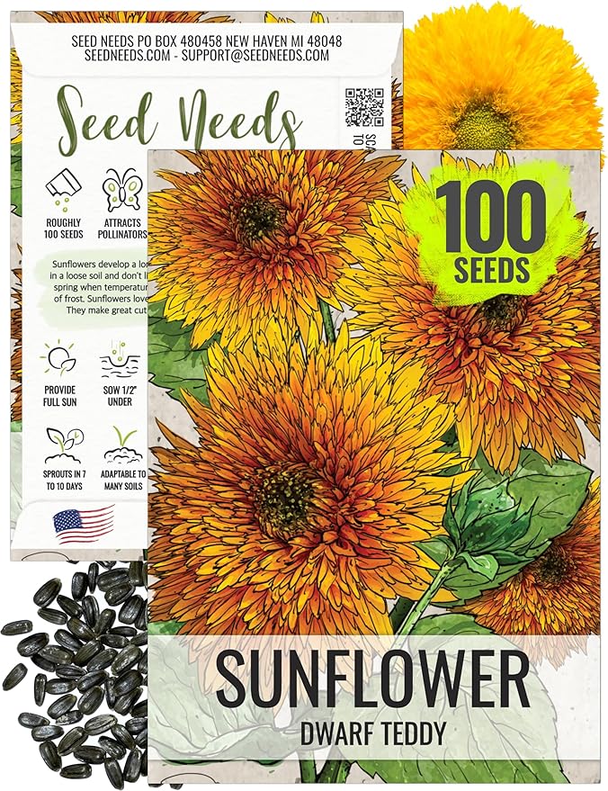Seed Needs, Dwarf Teddy Sunflower Seeds - 100 Heirloom Seeds for Planting Helianthus annuus - Double Petaled Blooms, Attracts Pollinators/Butterflies (1 Pack)