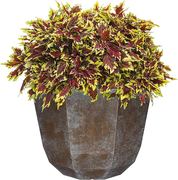 Classic Home and Garden Premiere Collection Planter, Shaina 15", Weathered Copper