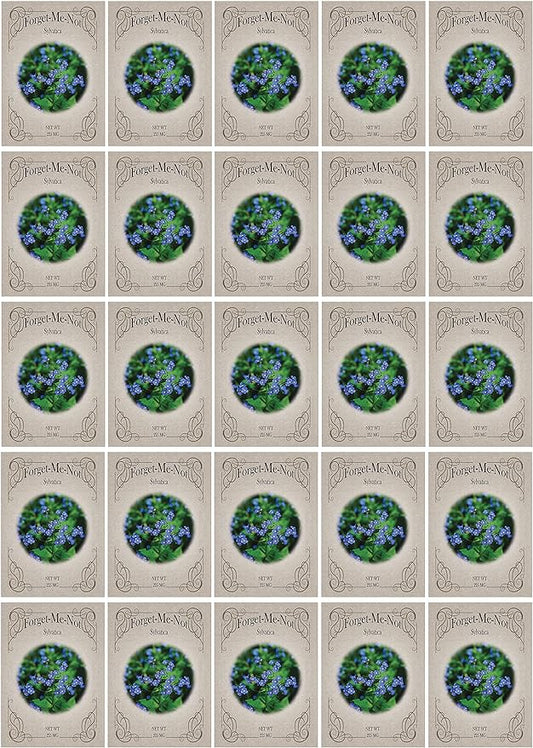 Black Duck Brand Set of 25 Packs of Forget-Me-Not Flower Seed Packets! Flower Seeds in Bulk - Great for Creating The Garden of Your Dreams! (25, Forget-Me-Not Blue)