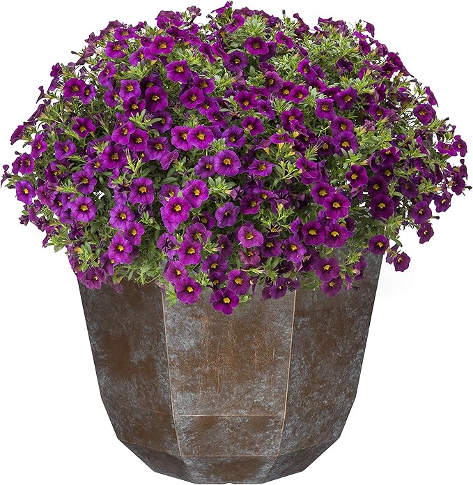 Classic Home and Garden Premiere Collection Planter, Shaina 15", Weathered Copper